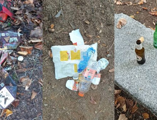 Parco Castello, la Pro Loco denuncia l’abbandono dei rifiuti: «Servono rispetto e senso civico»
