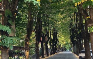 pista ciclabile arquata scrivia