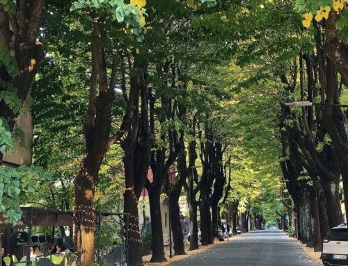 Arquata, 3,3km di nuova pista ciclabile verso Rigoroso: polemiche sugli alberi di via Villini